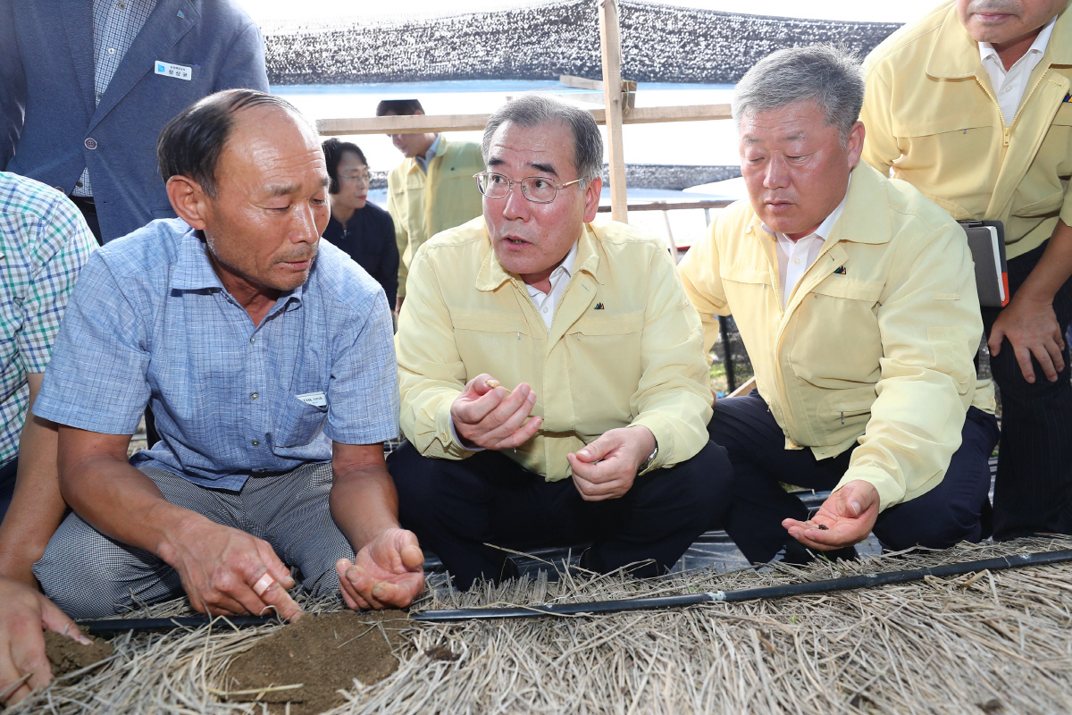 ▲이개호(오른쪽 세 번째) 농림축산식품부 장관은 6일 경기도 안성의 인삼 농가와 과수 농가를 찾아 지난 폭염과 호우로 인한 피해 상황과 복구 대책을 점검했다. 이 장관은 빠른 피해 조사와 복구 지원을 약속했다. (사진 제공=농림축산식품부)