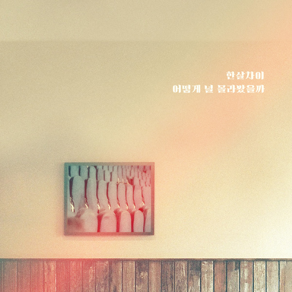 (사진=더하기미디어 제공)