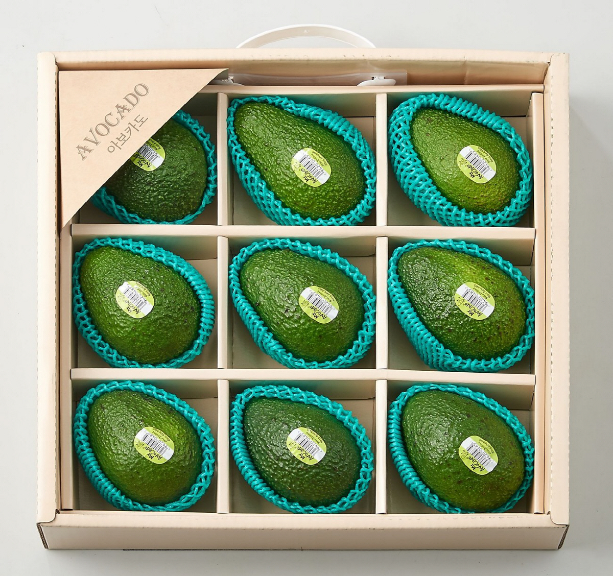 ▲뉴질랜드산 아보카도 선물세트
