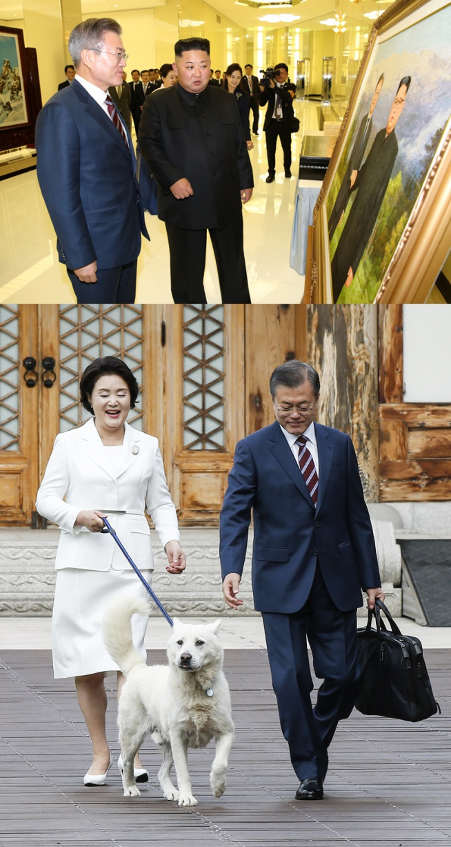 (평양사진공동취재단)