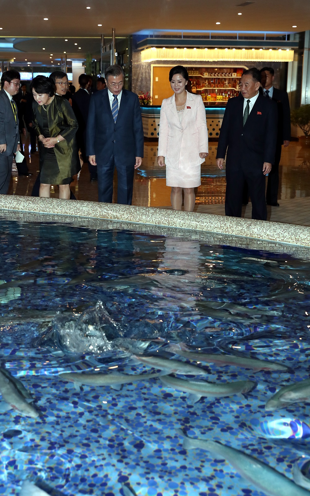 (평양사진공동취재단)