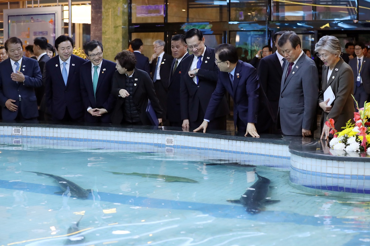 (평양사진공동취재단)