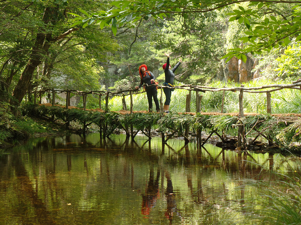▲주왕산 절골계곡 섶다리(국립공원관리공단)