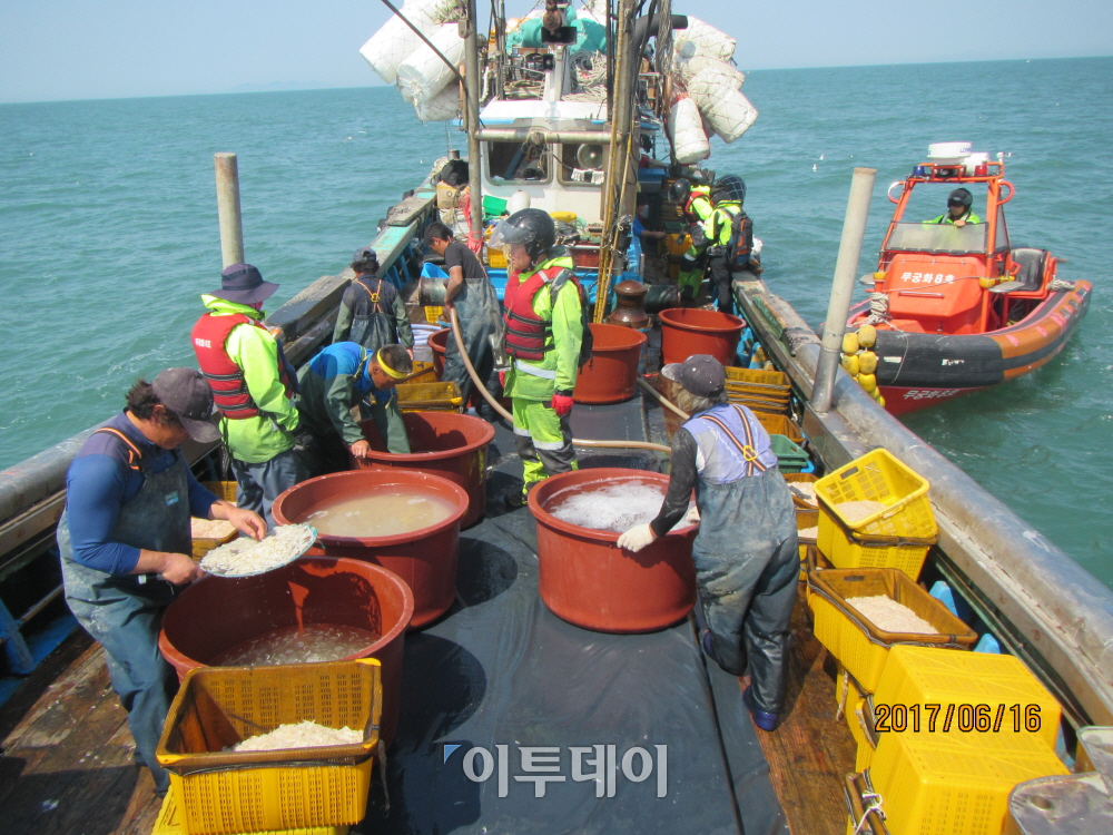 ▲해양수산부 어업관리단이 어선에 승선해 무허가, 조업금지구역 침범, 불법어구 사용 및 어린물고기 포획 등을 조사하고 있다.(해양수산부)