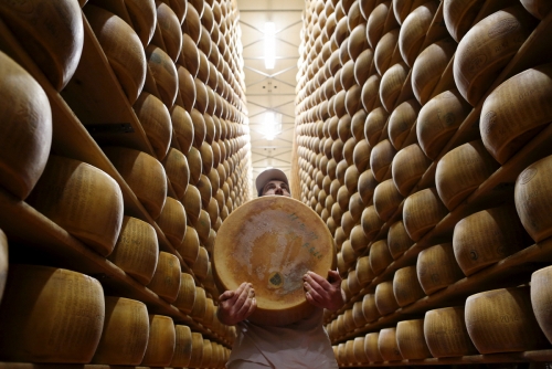▲치즈 숙성 창고에서 치즈를 들고 있는 장인. 로이터연합뉴스

