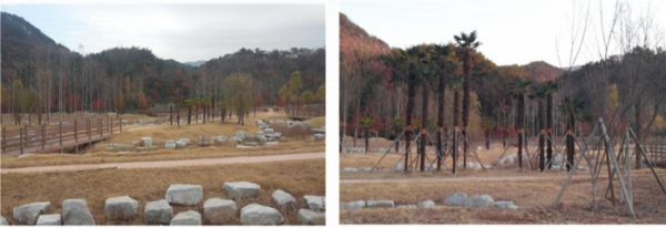 ▲한 수목원의 나무은행 활용 전(왼쪽)과 후(산림청)