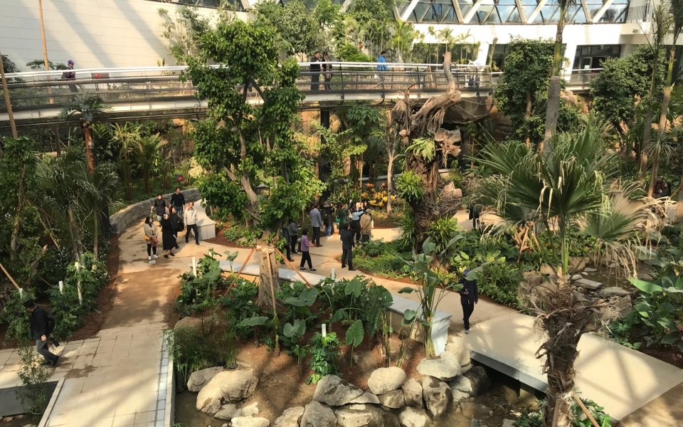 ▲서울식물원 온실 내부 모습. 나경연 기자.(이투데이DB)