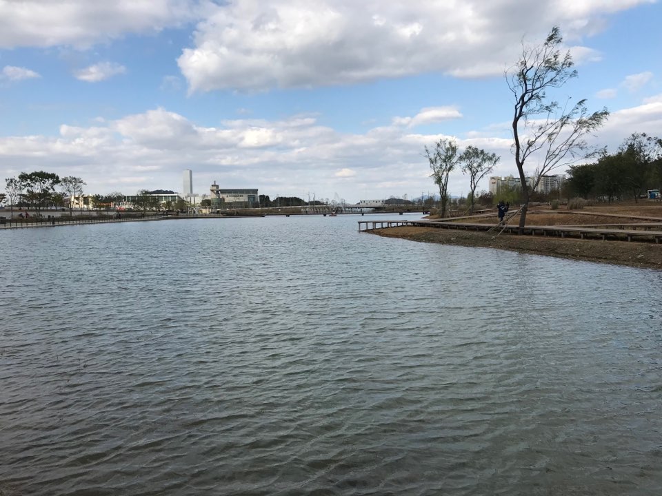 ▲서울식물원 호수원은 호주 주변으로 산책길과 관람데크가 조성된 곳으로, 호수 계단에 앉아 식물을 관찰하거나 휴식을 취할 수 있었다.