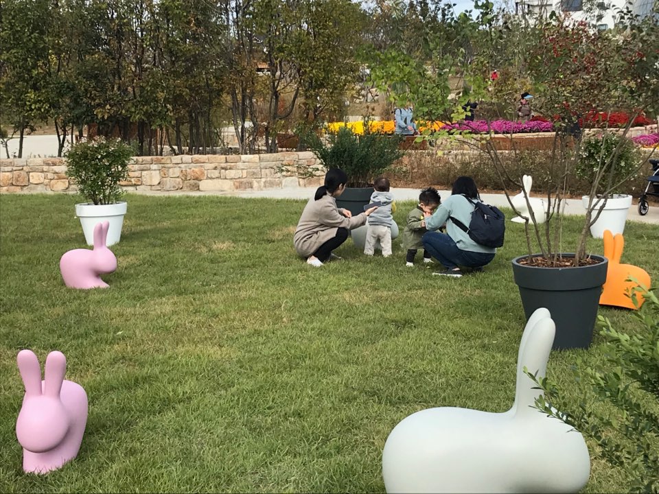 ▲잔디마당이 구성된 열린숲에는 시민들이 돗자리를 깔거나 누울 수 있도록 면적 대부분에 잔디가 깔려 있고, 바로 옆 습지원에서는 자연천이 보존돼 습지를 관찰할 수 있다.