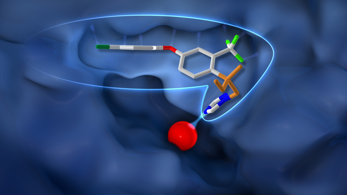 (사진 제공=바스프)