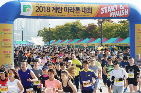 ▲사진설명='완주하고 계란 한판’ 2018 계란마라톤대회 개최