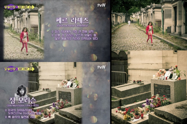 (출처=tvN '알쓸신잡3', 온라인 커뮤니티)