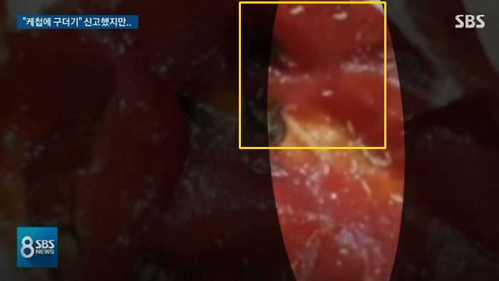 (출처=SBS 보도 캡처)