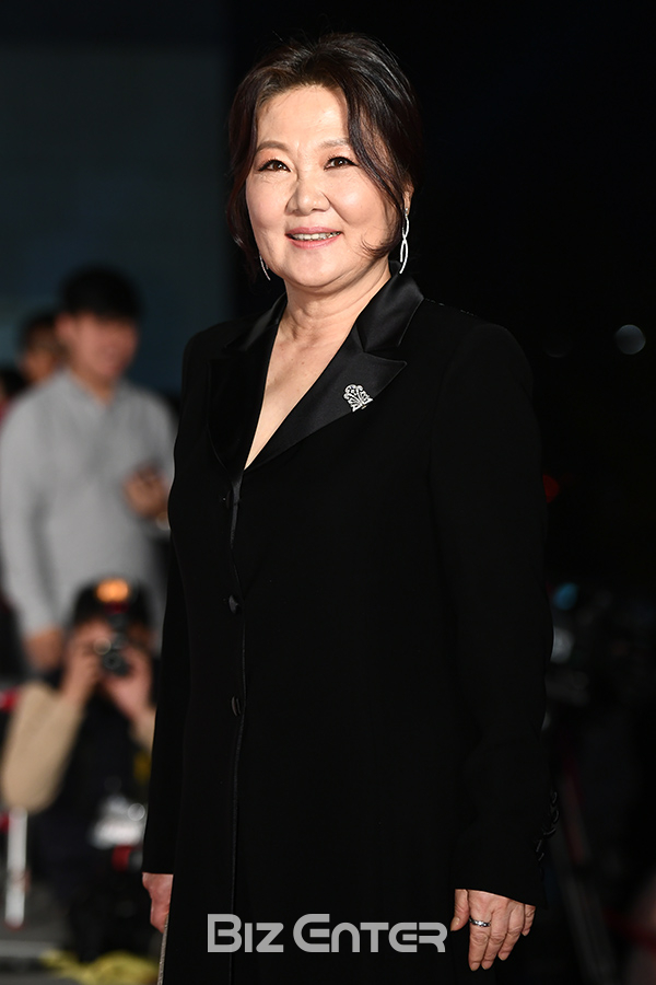 ▲김해숙(사진=고아라 기자 iknow@)