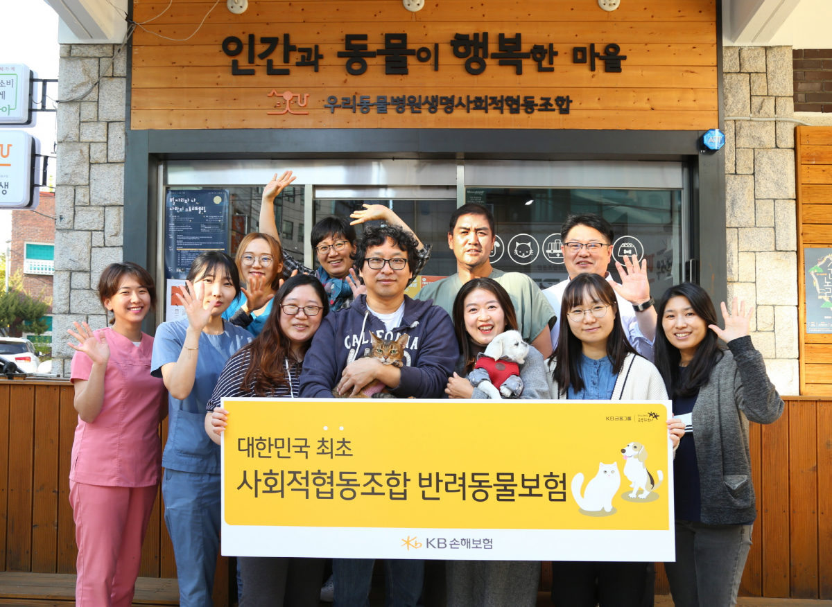 (제공=KB손해보험)