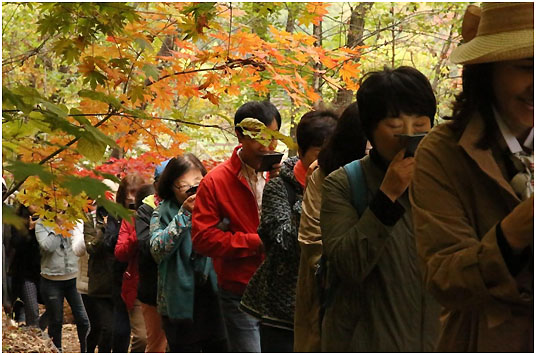 ▲‘하늘 걷기 거울’ 교구를 활용하여 가을 숲을 산책하는 유아교육기관의 대표자들. (사진제공=CJMmedia 에코-프로젝트 연구소)