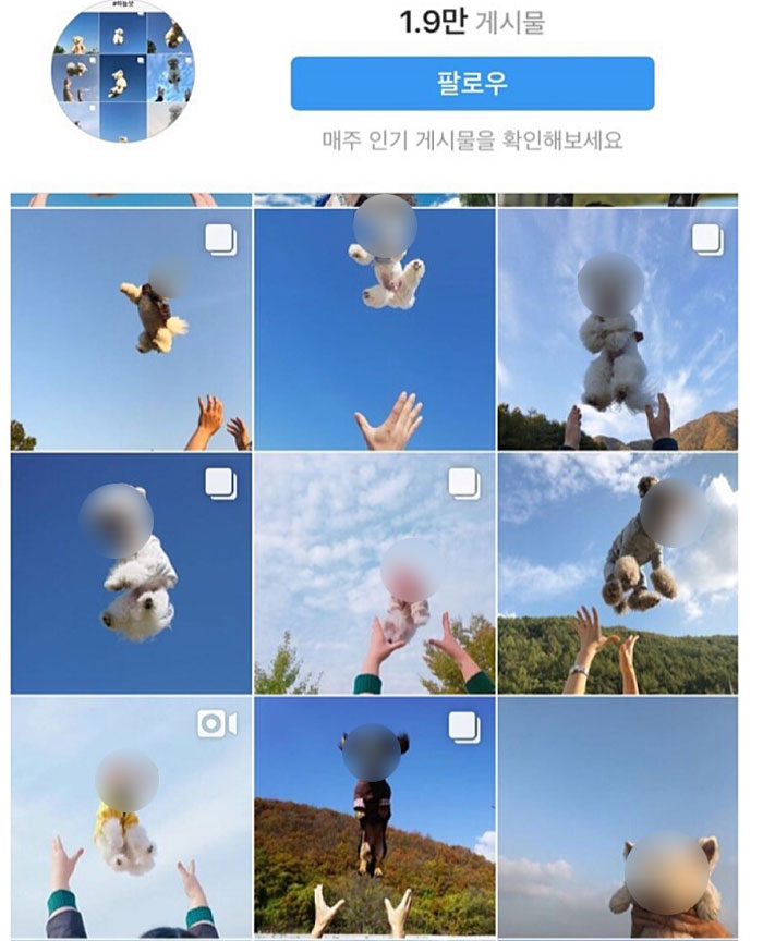 (출처=인스타그램)