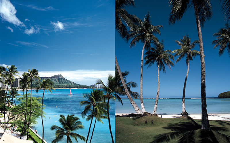 ▲하와이와 괌.