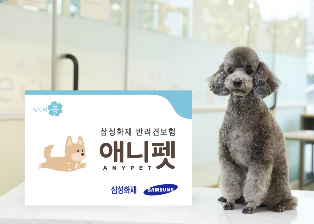 (사진=삼성화재)