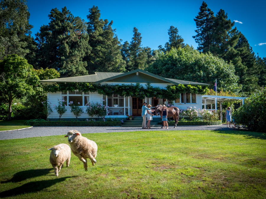 ▲마운트 후이아 팜스테이.(사진 제공=ManawatuNZ)