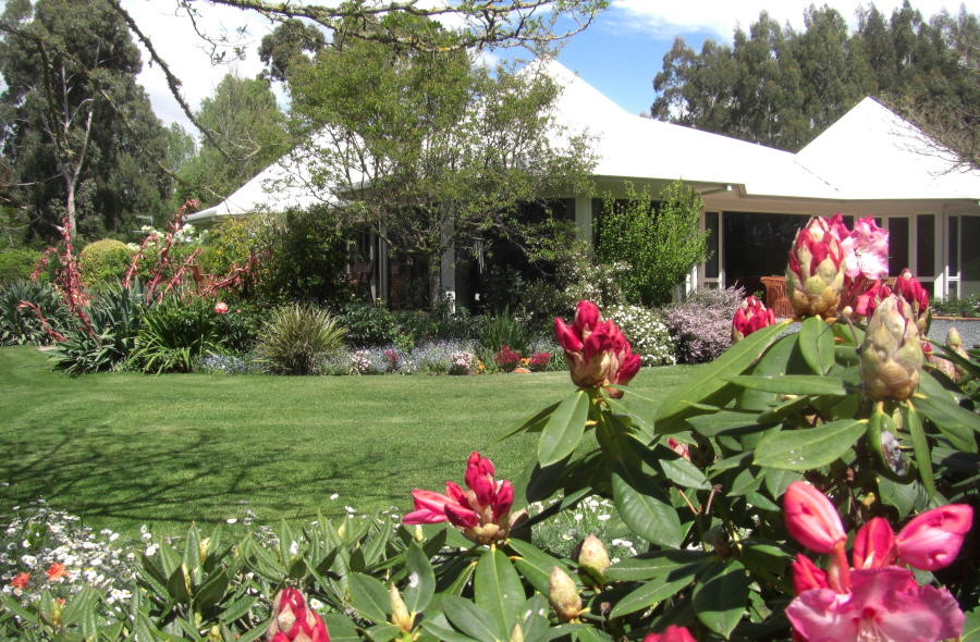 ▲실버스트림 알파카 팜스테이.(사진제공=뉴질랜드 관광청)