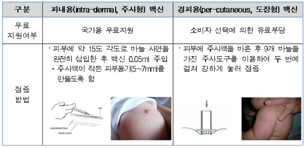 (자료제공=식품의약품안전처)
