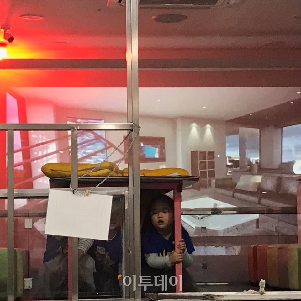 ▲지진 체험관에서 아이들이 실제 지진의 강도를 느끼는 체험을 하고 있다. 지진이 발생하자 교관의 지시에 따라 책상 밑으로 대피하며 떨어지는 물건을 피하고 있다. (나경연 기자 contest@)