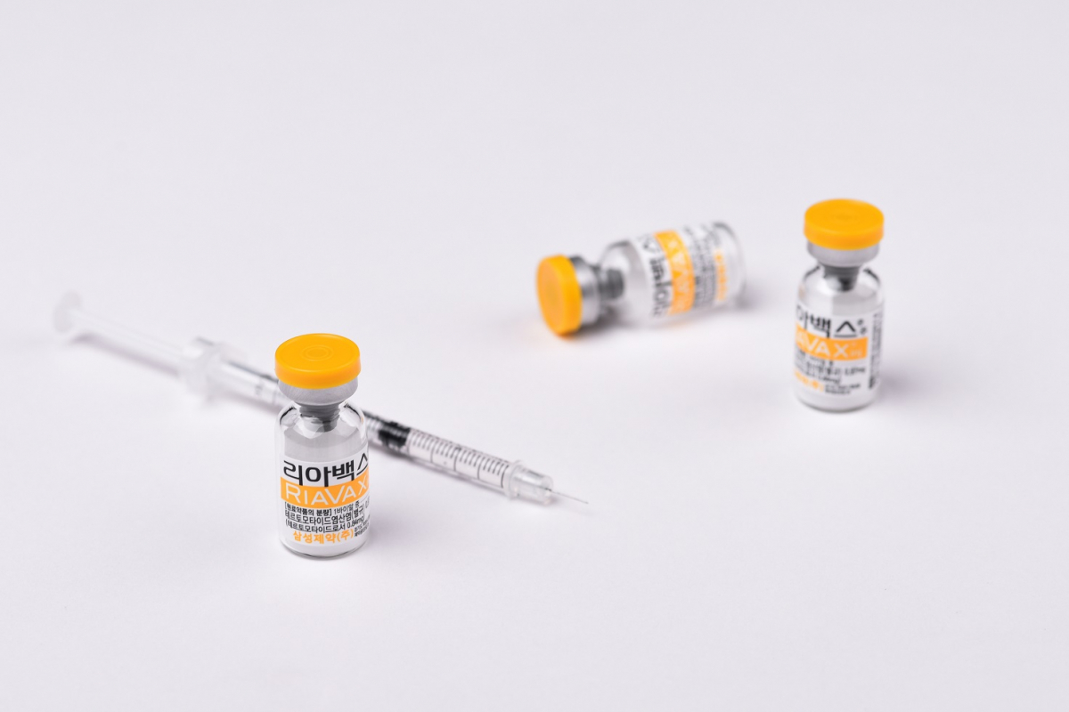 (사진제공=젬백스앤카엘)