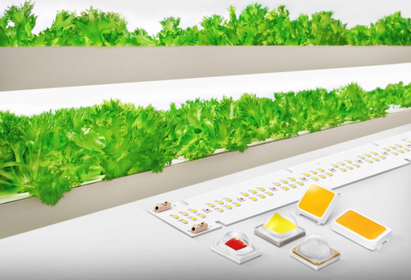 ▲삼성전자 식물 생장용 LED 패키지와 모듈.(사진제공 삼성전자)