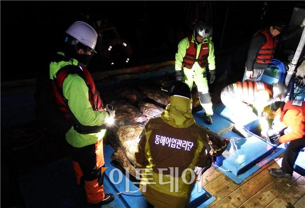 ▲동해어업관리단이 불법 대게 유통‧판매를 단속하고 있다.(해양수산부 동해어업관리단)