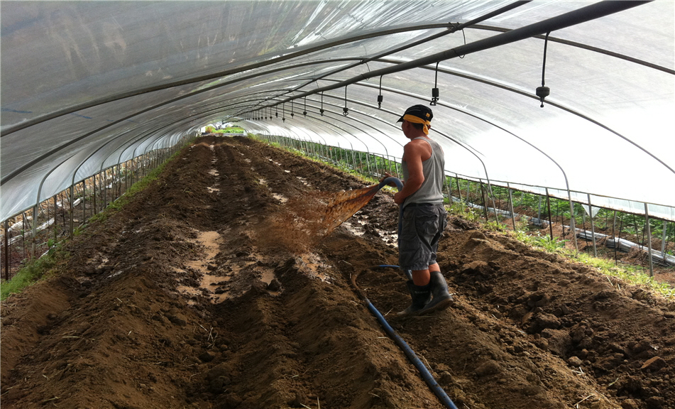 ▲포천 자연순환농업센터에서 생산한 액비를 시설 농가에서 작물에 뿌리고 있다. 사진제공 포천축협