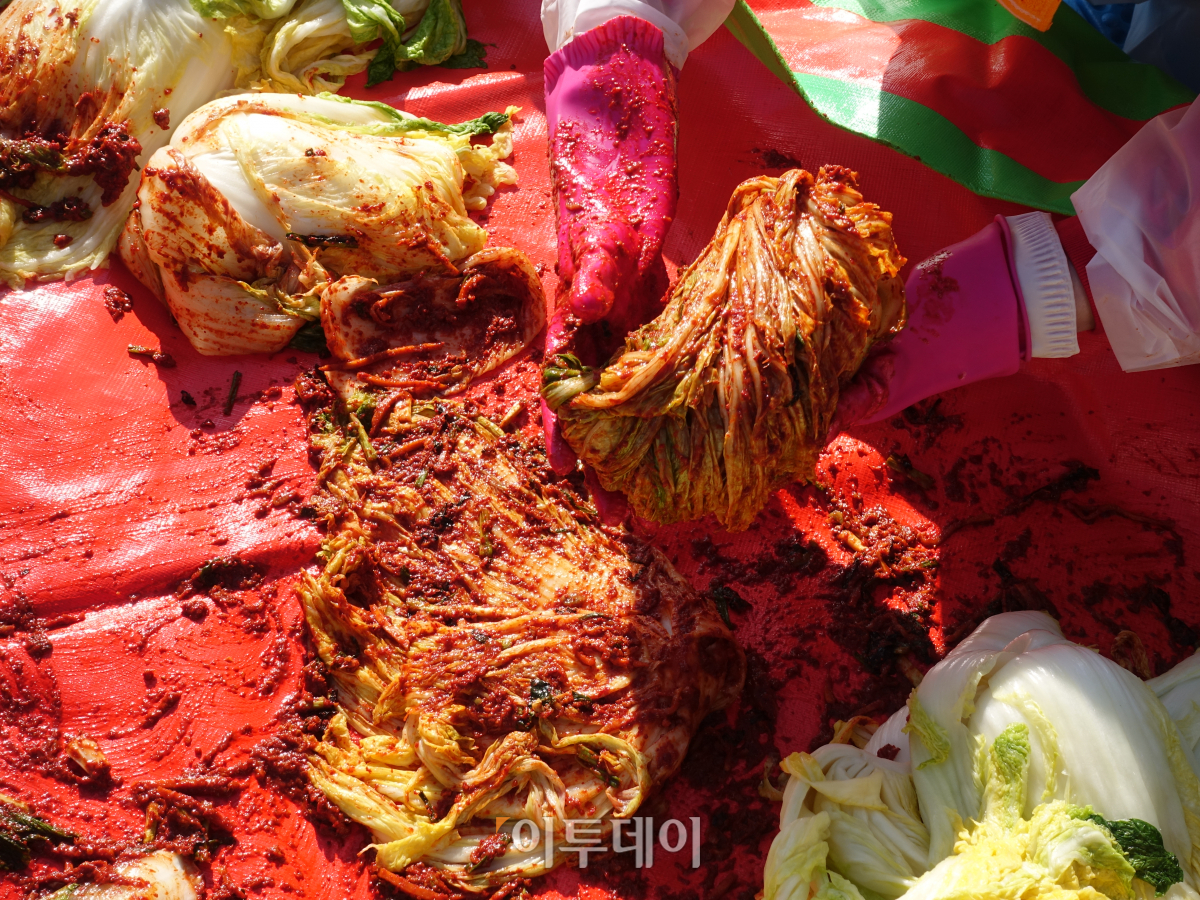 ▲김장 초보들이지만, 이들이 정성껏 만든 김치는 10kg들이 80박스를 채웠다. (이재영 기자 ljy0403@)