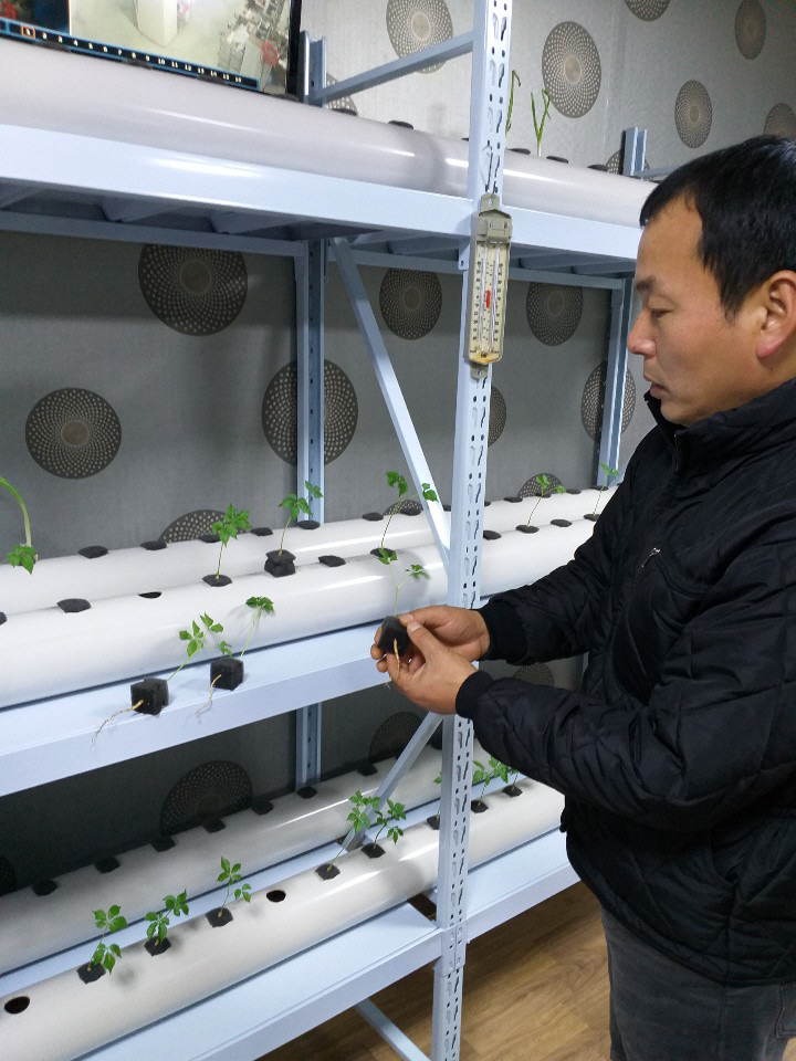 ▲김상호 자연지기 대표가 3일 자연지기 사무실에서 액비 배양액을 이용한 인삼 수경재배를 설명하고 있다.