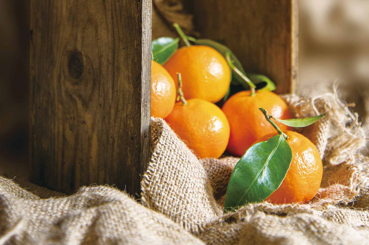 ▲라마다프라자 제주호텔 '윈터 플레이버' 패키지.(사진제공=라마다프라자 제주호텔)