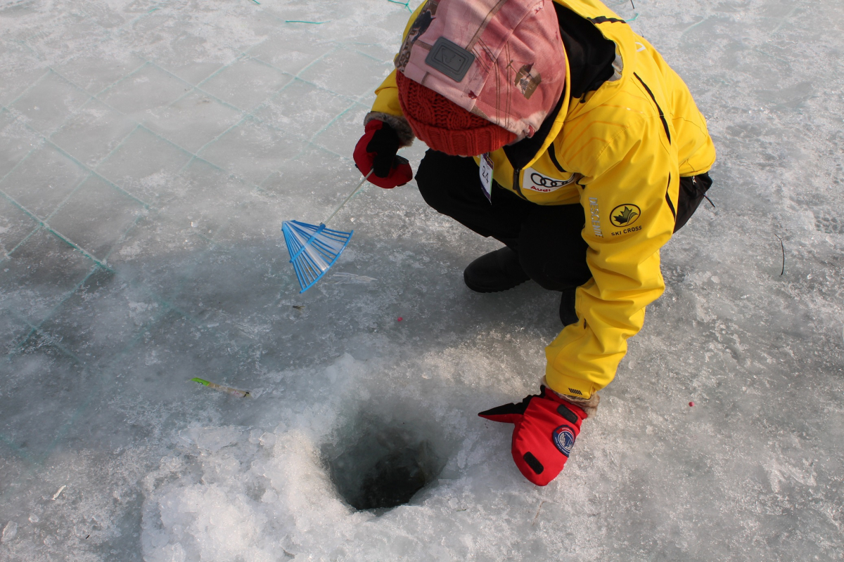 ▲켄싱턴호텔 평창 '평창송어축제' 패키지.(사진제공=켄싱턴호텔 평창)