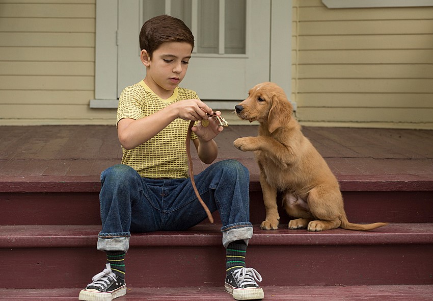 ▲영화는 귀여운 소녀 '이든(아파 분)'과 반려견 '베일리(조시 게드 분)'의 우정을 담아낸다. 베일리는 이든의 친구이자, 형제이자, 선생님 같은 존재로 항상 이든과 함께한다. (사진제공=배급사 씨나몬)