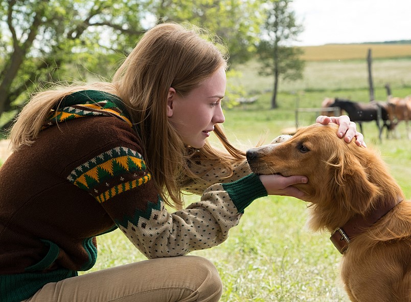 ▲'Pet(애완동물)'과 'family(가족)'를 합친 합성어인 '펫팸족'이란 단어가 생길정도로 반려동물을 자신의 가족처럼 생각하는 사람들이 늘고 있다. (사진제공=배급사 씨나몬)