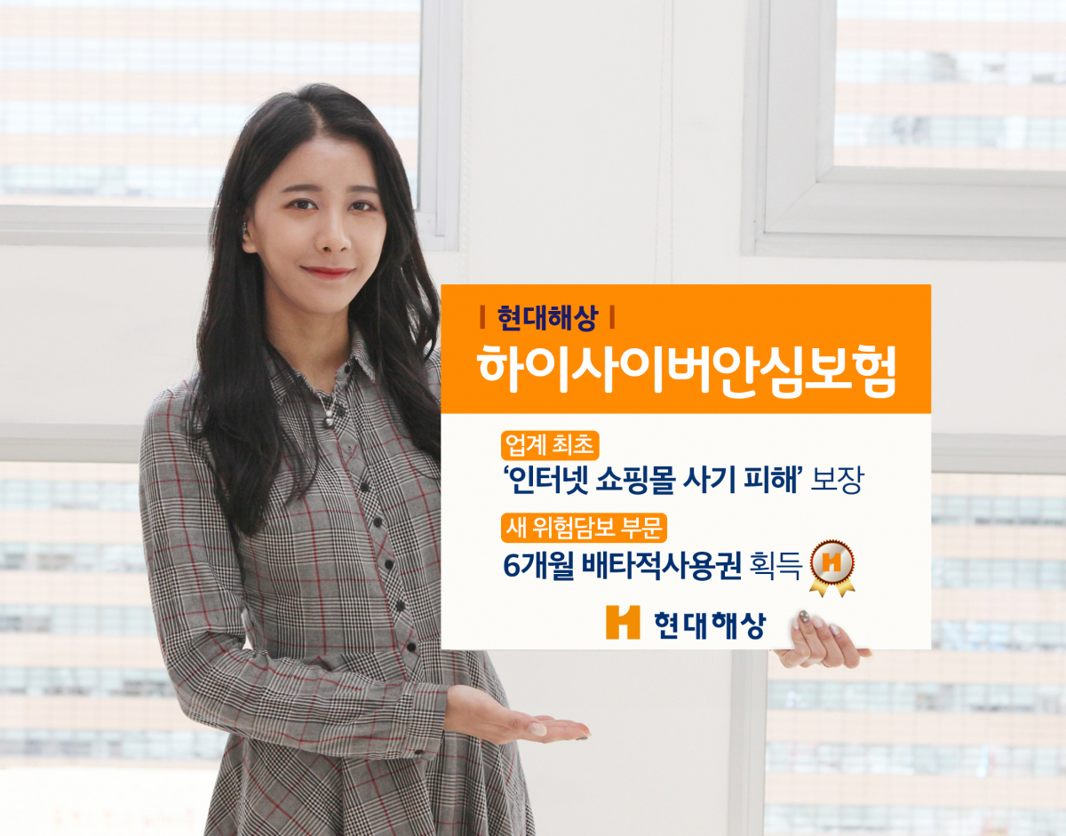 (사진=현대해상)