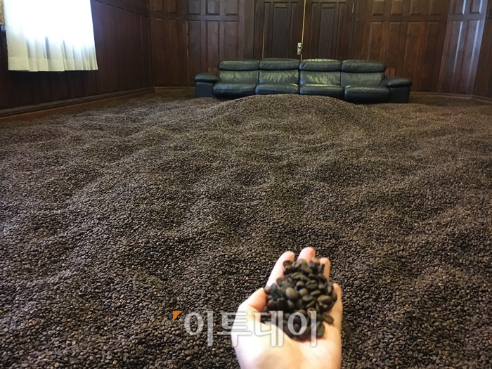▲귀빈예비실에 마련된 백현진의 '방'. 이곳은 어른들의 과자 집처럼 커피로 이뤄진 놀이공간이다. 김소희 기자 ksh@