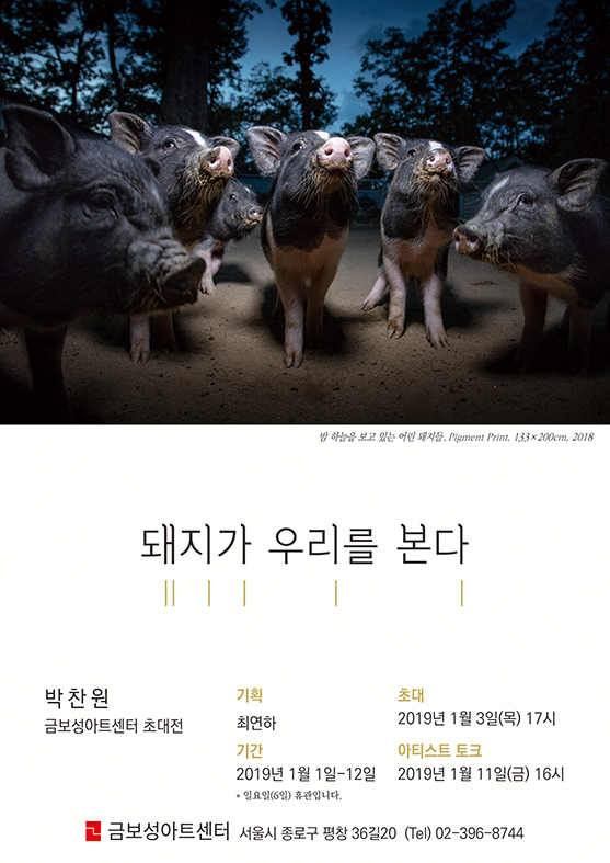 ▲'돼지가 우리를 본다' 전시 포스터(박찬원 작가 제공)