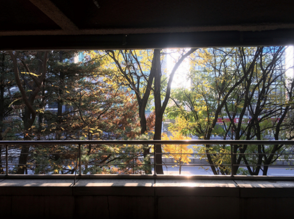 ▲김유석 사진작가가 스마트폰으로 찍은 '주차장에서 만난 가을의 낭만' 사진