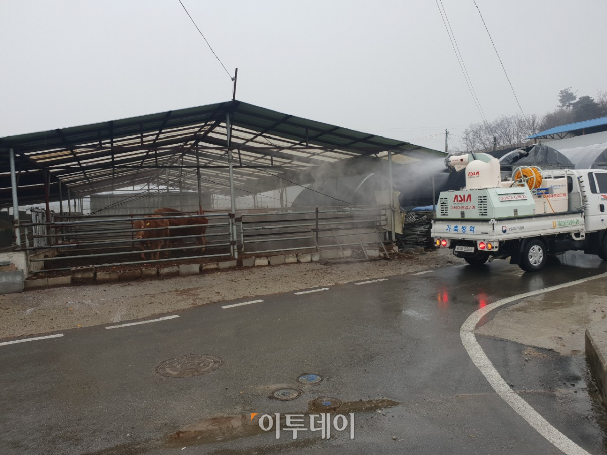 ▲농협중앙회는 설 연휴기간 중에도 지난 1월 28일 발생한 구제역 확산 방지와 조기 종식을 위해 비상방역활동을 실시하고 정부의 설 연휴기간 집중 방역 지침에 따라 비상방역대책을 수행했다고 6일 밝혔다.(농협중앙회)