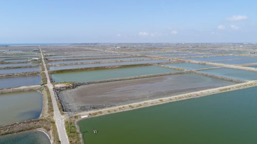 ▲구글이 대만 연못 위에 태양 전지판 설치 프로젝트에 나선다고 밝혔다. CNBC
