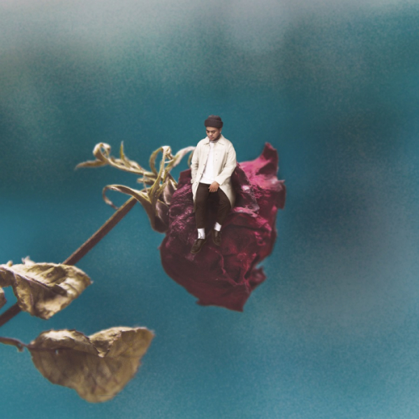 ▲Shallow Focus Image Of A Dying Yellow Daisy Flower(사진=LIC Music)