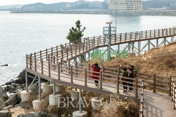 ▲공중에 뜬 하늘데크길(김혜영 여행작가)