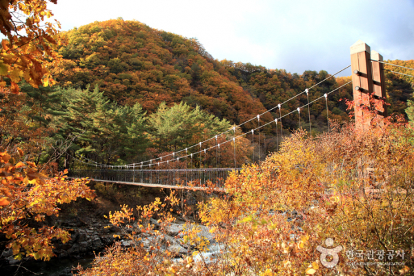 ▲소지섭길은 봄, 가을 경치가 좋기로 유명하다. 천혜 자연을 담은 아름다운 관광지로서의 역할을 톡톡히 하고 있다. (사진제공=한국관광공사)