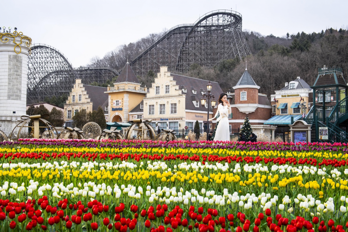 ▲몬드리안 테마정원.(사진제공=에버랜드)