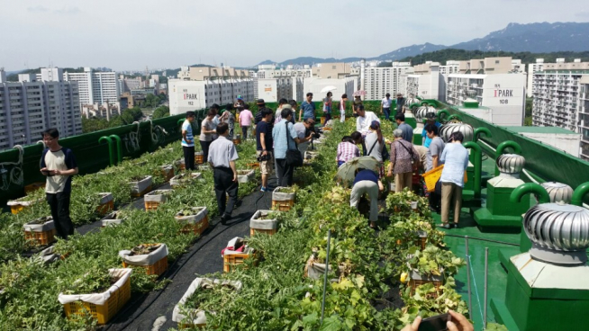 ▲아파트텃밭(사진 = 서울시)