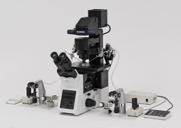 ▲올림푸스 생물현미경 ‘IX3-ICSI’와 ‘IX3-IMSI’(올림푸스)