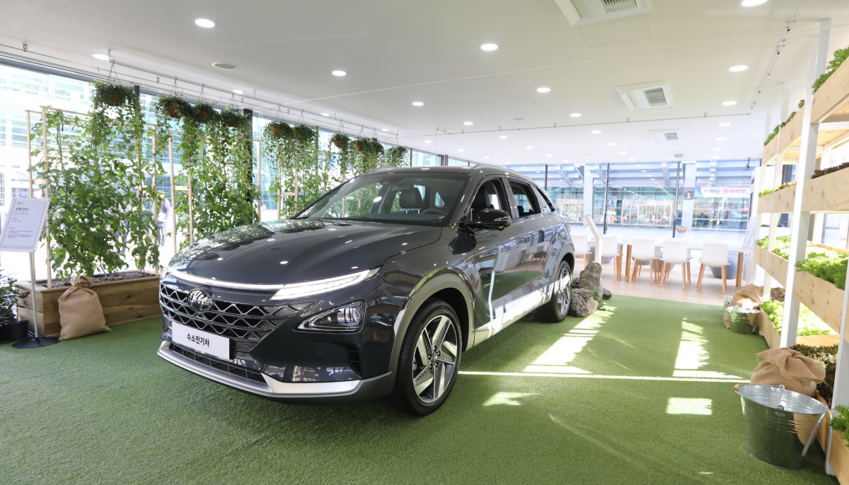 ▲'수소전기하우스 시즌 2' 그린 존에 마련된 수소전기차에서 배출된 깨끗한 물로 재배한 식물들이 자라고 있는 '라이브 팜(LiveFarm)'(사진제공=현대차)